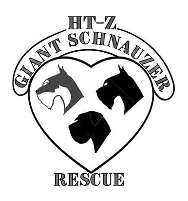 HT-Z Giant Schnauzer Rescue