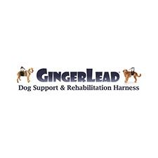 ginger-lead